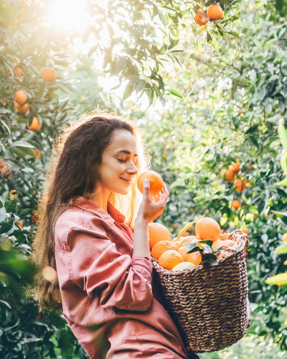 O melhor do Mediterrâneo, em Portugal, do Norte ao Sul