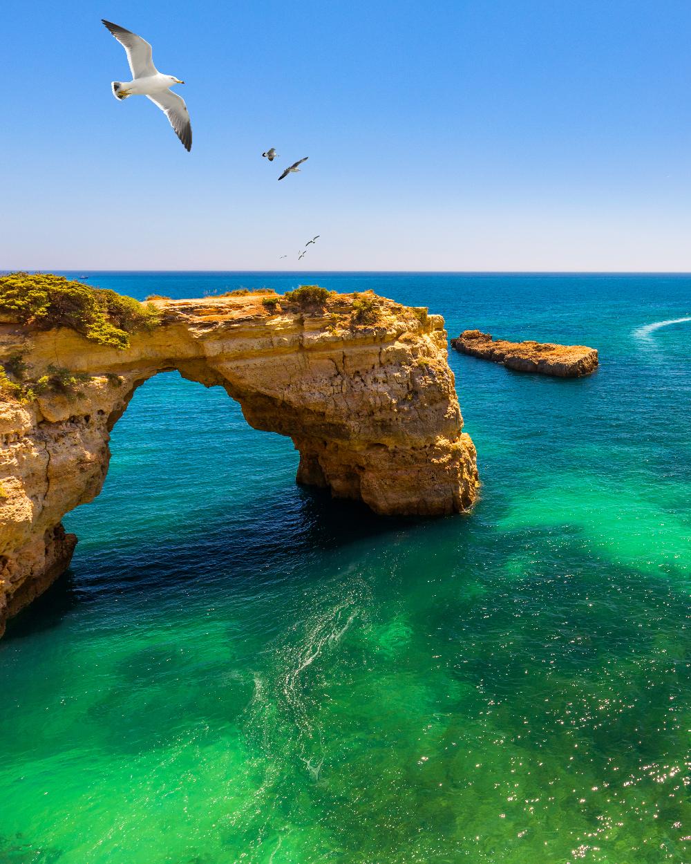 The Mediterranean Diet Route - The best of the Mediterranean in Portugal
