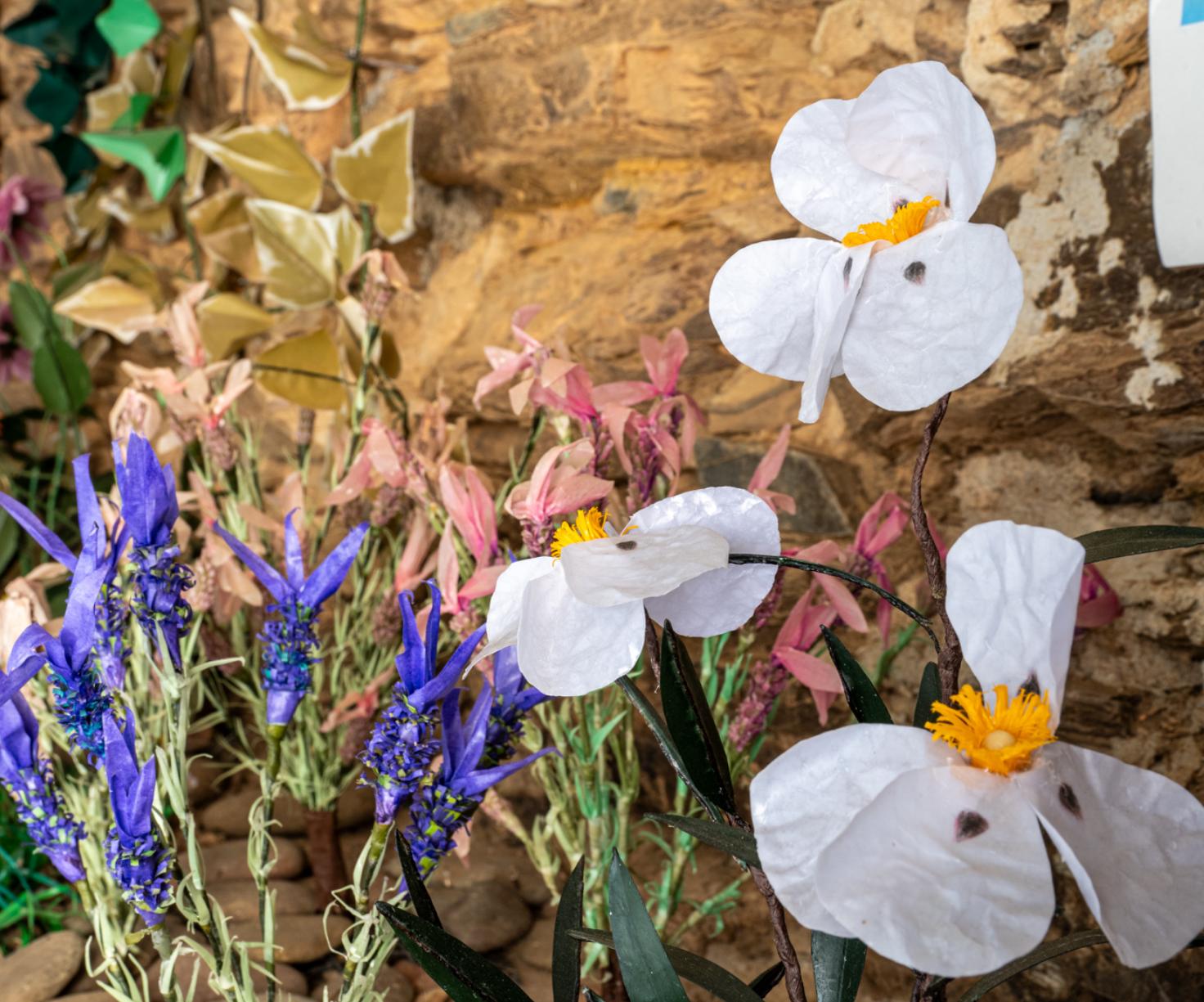 Museu das Flores de Cera
