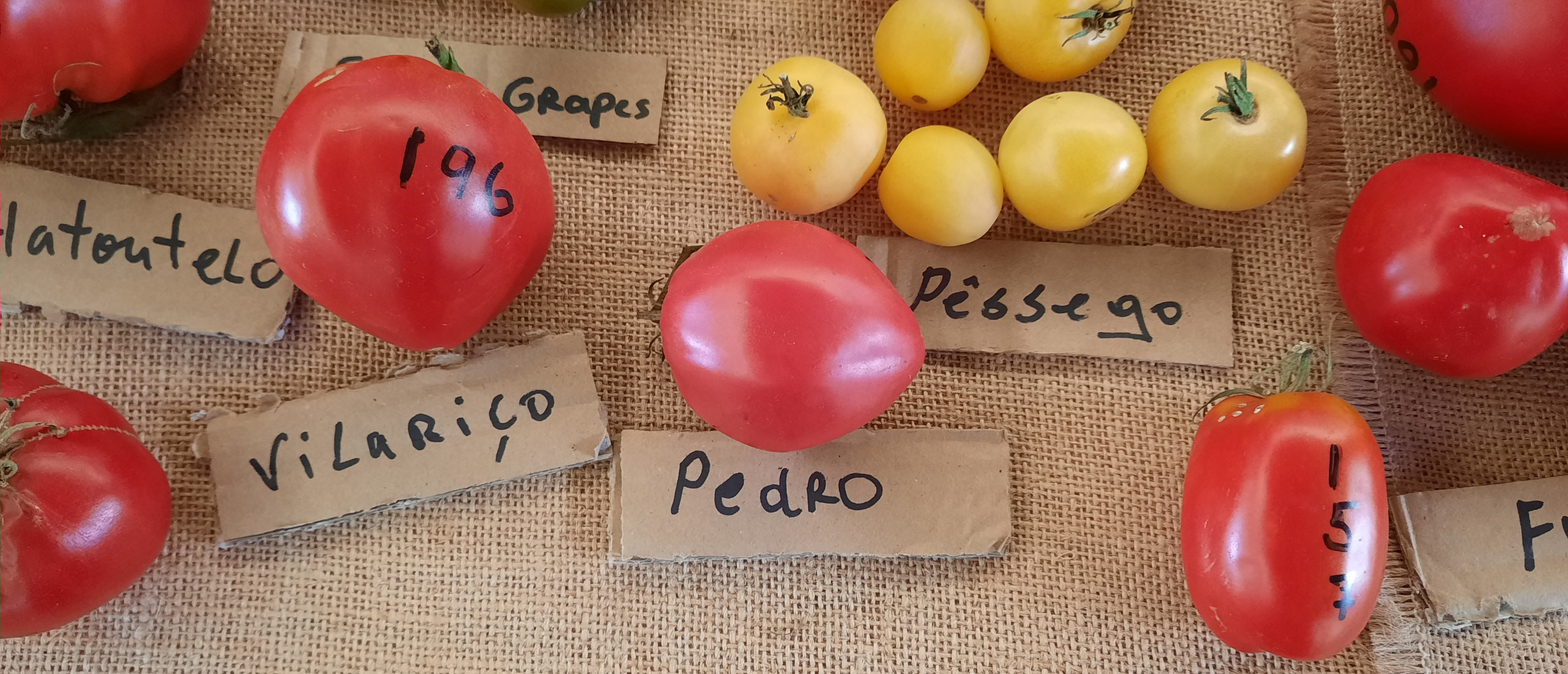 Feira da Dieta Mediterrânica