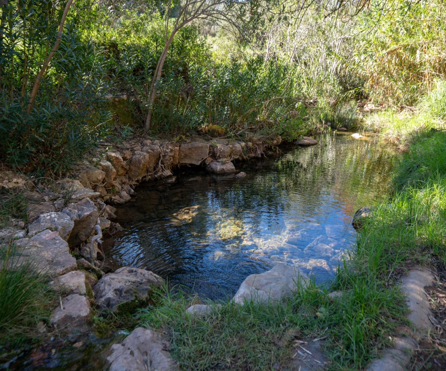 Fontes de Alte