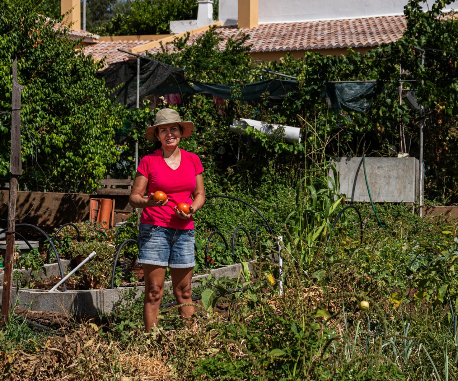 Laivos - gastronomia e território