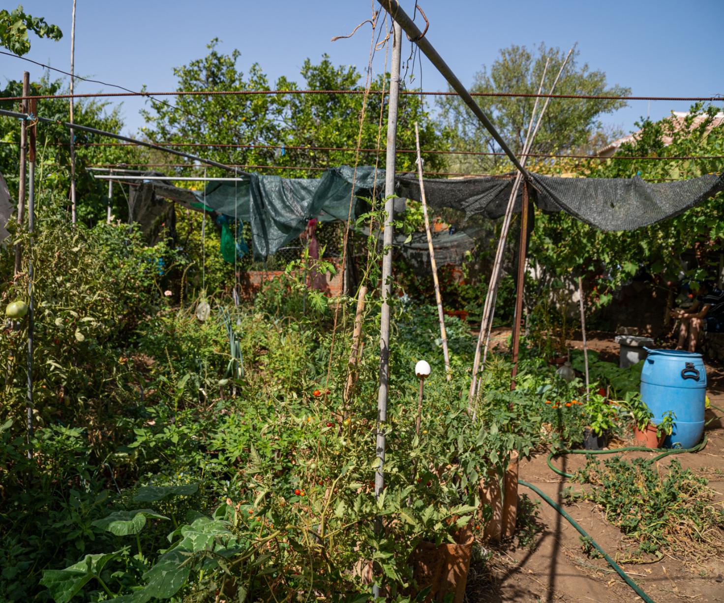 Laivos - gastronomia e território