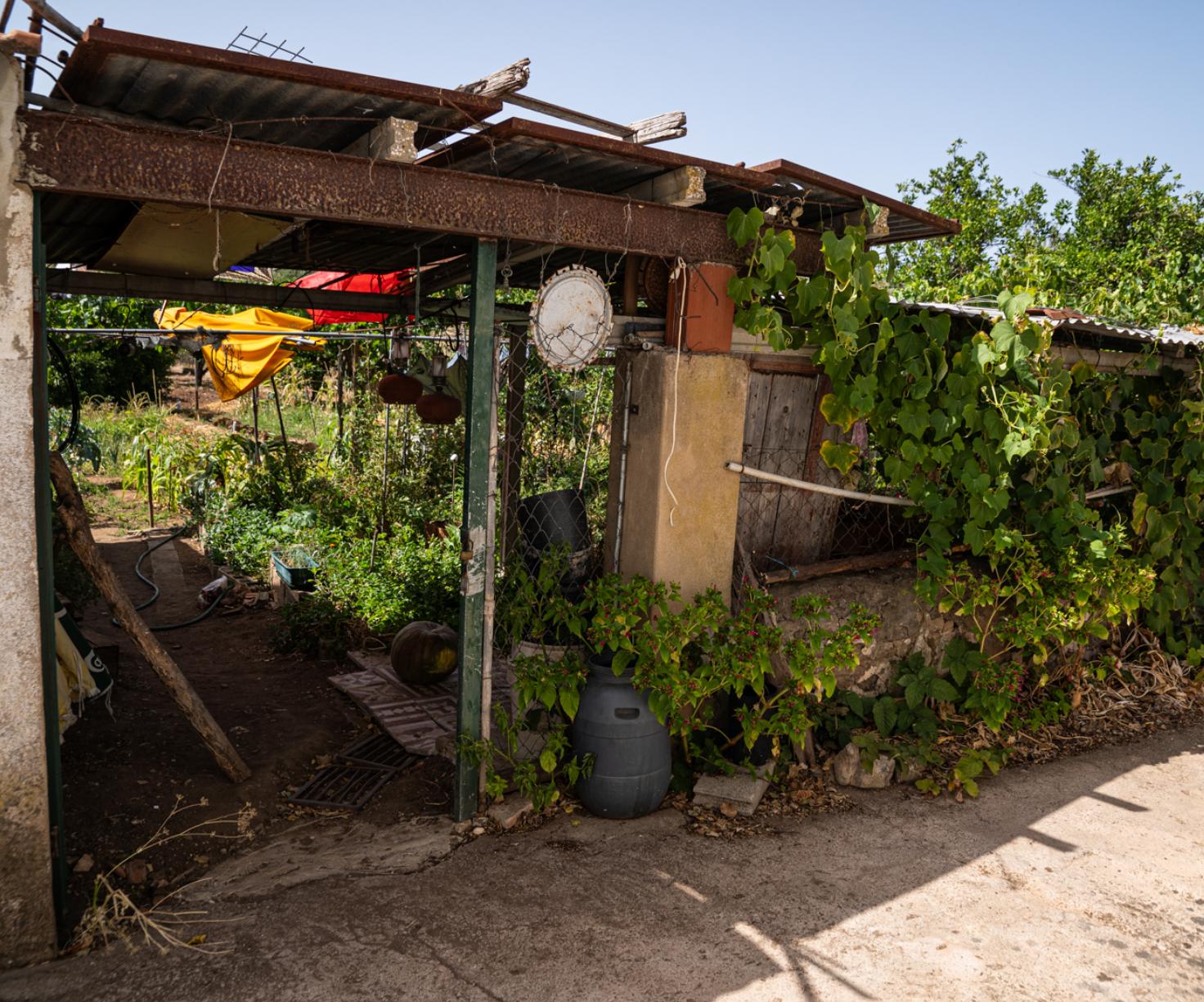 Laivos - gastronomia e território