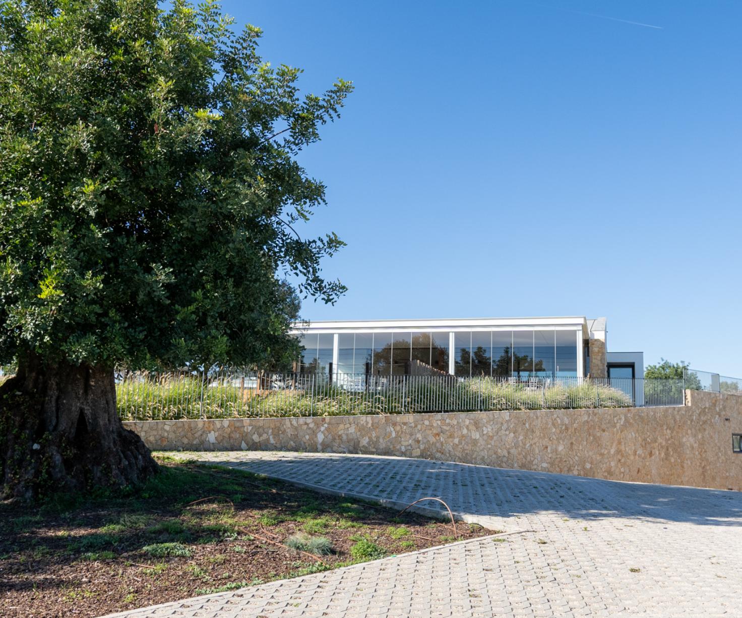 Quinta do Canhoto