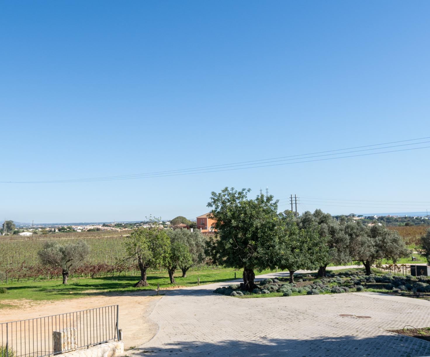 Quinta do Canhoto