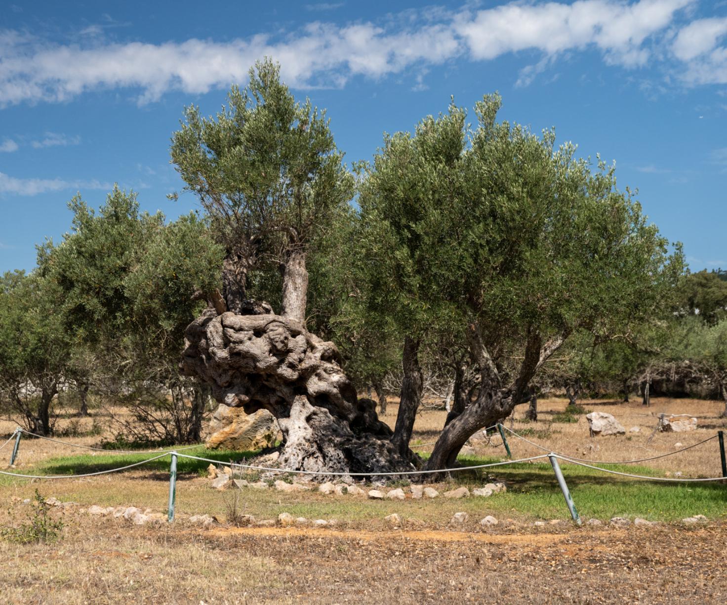 Quinta dos Tesouros - Turismo Rural