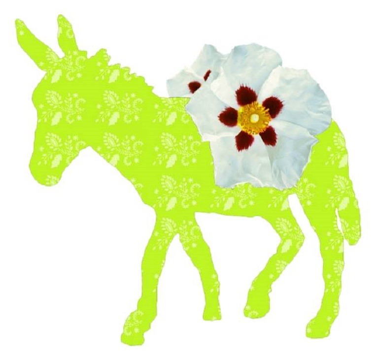 Créditos: Burros & Artes