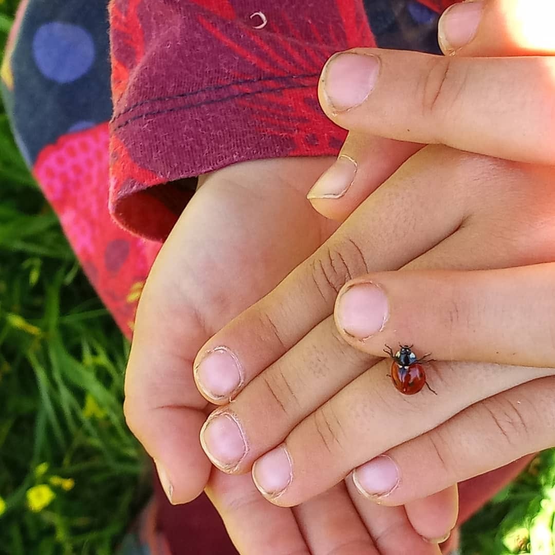 Fonte: https://www.facebook.com/LuraAprenderNaturalmente