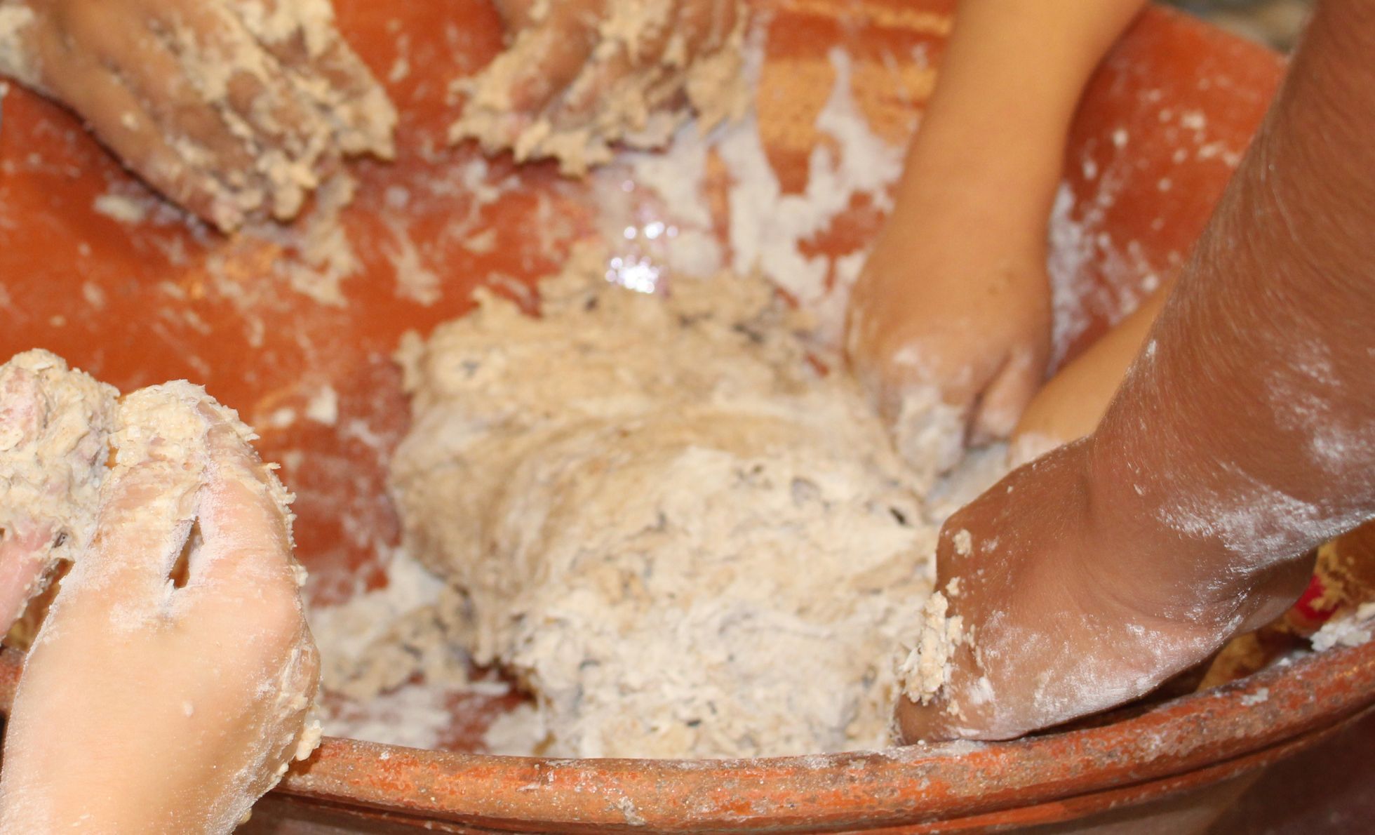 Plano de ação para 2026-2029!