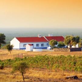 Accommodation - Rural Tourism